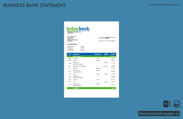 USA Belize Bank Organisationskontoauszug Word- und PDF-Beispielvorschau